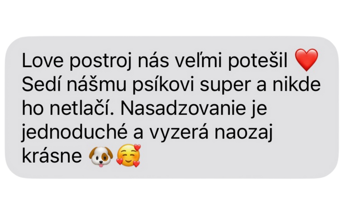 Recenze zákazníka