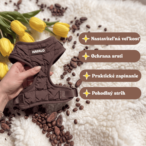 Postroj Espresso