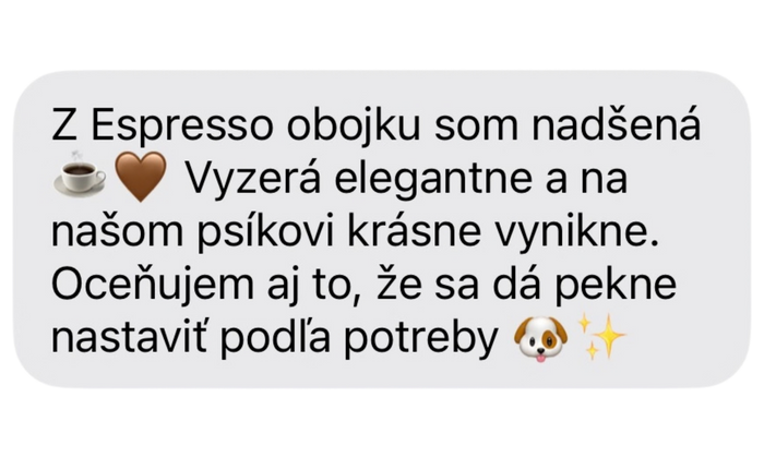 Recenze zákazníka